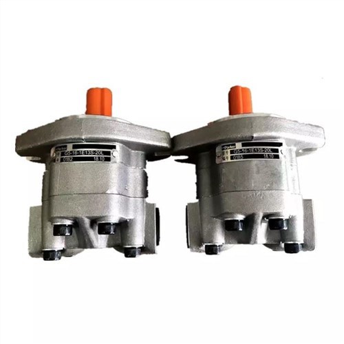 Zubové čerpadlo G5-16-1E13S-20L